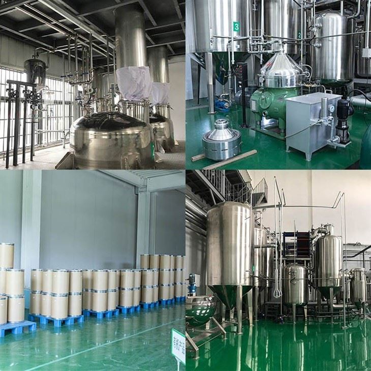 Citron Powder factory